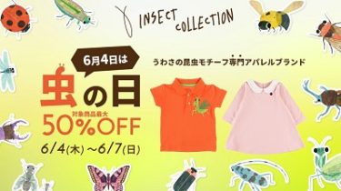 インセクトコレクション(Insect Collection)『虫の日限定セール』6/4(木)-6/7(日)まで開催！